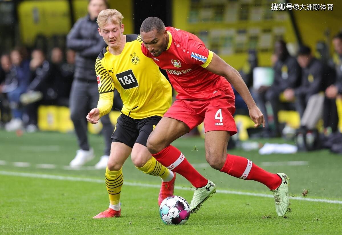 九游体育app- 山东泰山队新外援浮出水面 