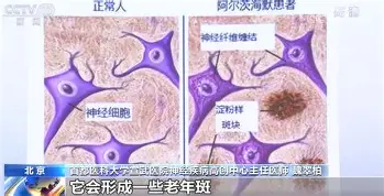 九游娱乐官网-包含上海海港状态回暖备战德国杯浙江稠州关键时刻更衣室发声，广厦男篮完成体检备战CBA常规赛都惊呆了的词条